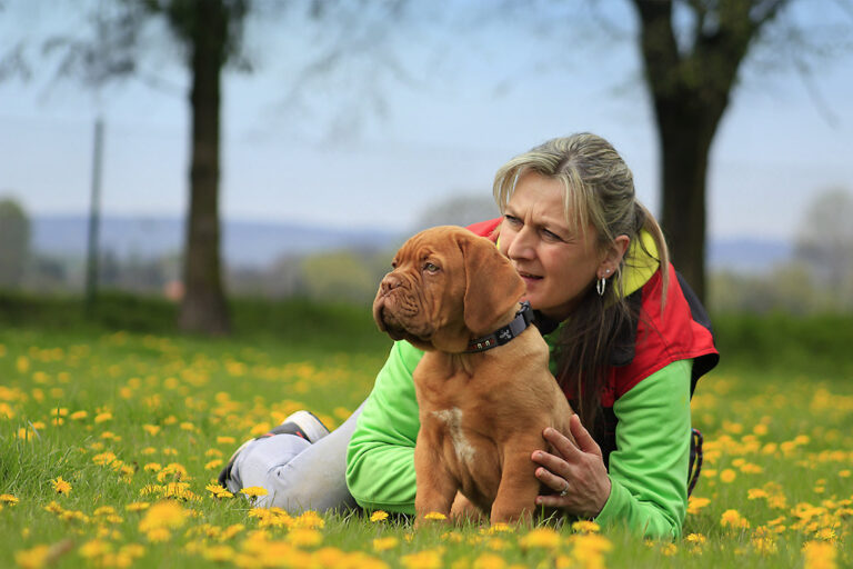 Dogs aren’t mercenaries – they are loyal to their friends